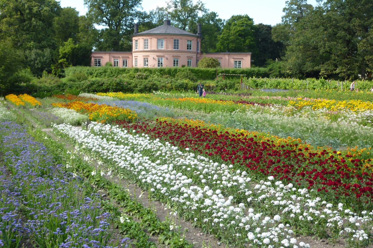 Un coin de l'immense parc de Djurgården